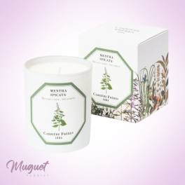 White scented candle in a box with botanical artwork
