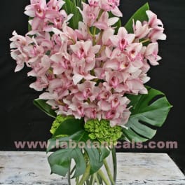 Pink orchid arrangement in a glass vase with large tropical leaves