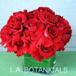 Red rose bouquet in a square glass vase