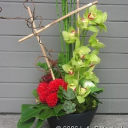 Tall floral arrangement with green orchids and red blooms in a black bowl