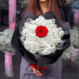Bouquet of one red rose surrounded by white baby's breath in black wrap