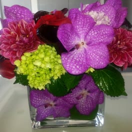 Purple orchids and red dahlias in a clear square vase