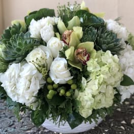 Low round arrangement of white roses, hydrangeas, green succulents, and orchids in a white bowl