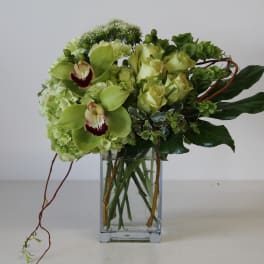 Green Celebration