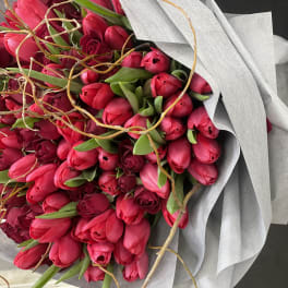 Bouquet of bright pink tulips wrapped in silver paper