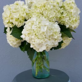 White hydrangea bouquet in a blue glass vase