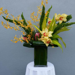 Yellow orchids in a tall glass vase with green foliage
