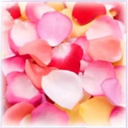 Pile of multicolored rose petals in pink, red, white, and yellow