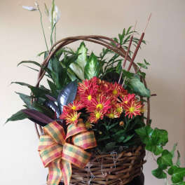 Basket arrangement with pink daisies and mixed greenery, finished with a plaid bow