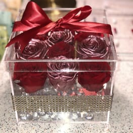 Clear gift box with red roses and a red satin bow
