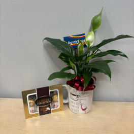 Potted peace lily in a coffee mug with a ribbon and chocolates beside it
