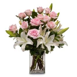 Kisses TMF13-223
