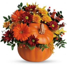 Country Pumpkin