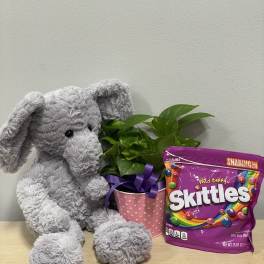 Gray plush elephant beside a potted plant and a bag of Skittles