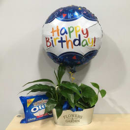 Birthday balloon with a potted plant and Oreo cookies in a gift container