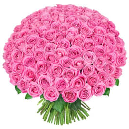 Large bouquet of pink roses with green stems