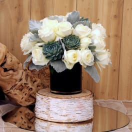 White roses and green succulents in a black vase