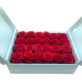 Everlasting Roses: 24 everlasting red roses in aqua wooden box