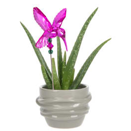 Potted aloe plant with a pink crystal butterfly topper