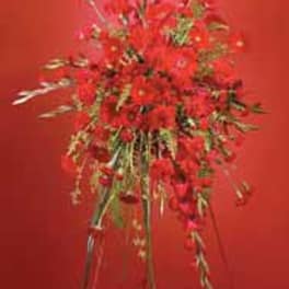 SF71-31 Red Monochromatic Spray