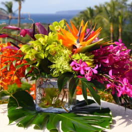 Tropical flower arrangement in a glass cube vase with orange, pink, and green blooms