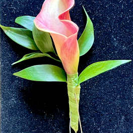 Pink calla lily boutonniere with green leaves on a dark background