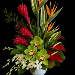Tropical arrangement with red ginger, green orchids, and bird-of-paradise in a white vase