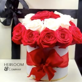 Red and white roses arranged in a round gift box with a black ribbon