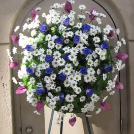 Daisy Wreath - W60020