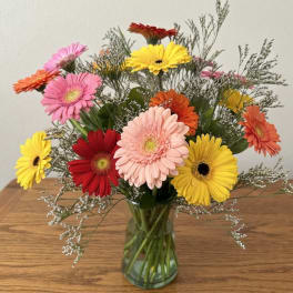 Mixed gerbera daisy bouquet in a clear glass vase