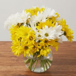 Yellow and white daisy bouquet in a round glass vase
