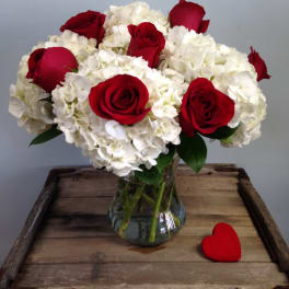Red roses and white hydrangeas arranged in a glass vase