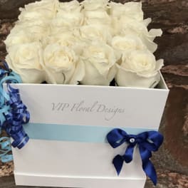 White roses arranged in a white gift box with blue ribbon accents.