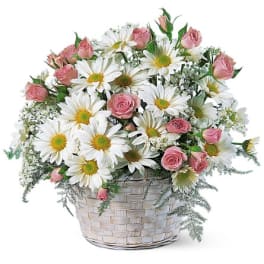 Pink roses and white daisies in a woven basket
