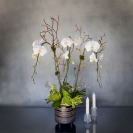 White orchids in a patterned pot with green succulents and two white candles