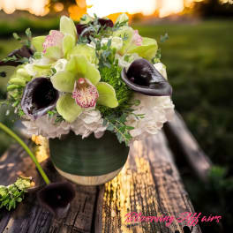 Bouquet of green orchids, white hydrangeas, and dark calla lilies in a vase