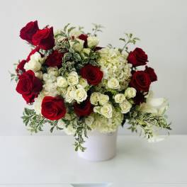 Red and white roses arranged in a white vase
