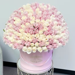 200 White and Light Pink Roses Signature Box