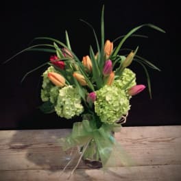 Bouquet of pink and peach tulips with green hydrangeas in a glass vase