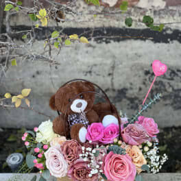 Teddy bear in a box with pink and blush roses