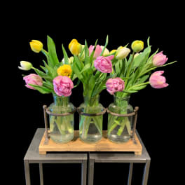 Pink and yellow tulips arranged in three clear glass bottle vases on a wood and metal stand