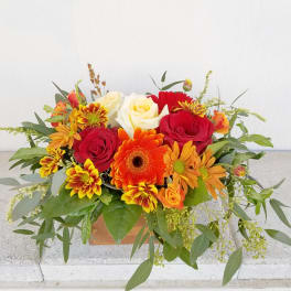 PV Fall Box Arrangement