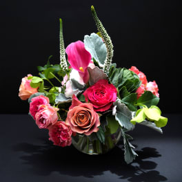 Flora