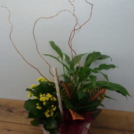 Potted plant arrangement with yellow blooms and variegated leaves in a basket