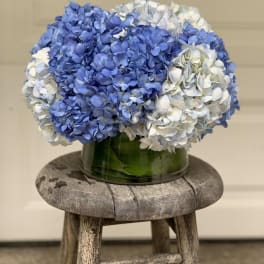 Blue and white hydrangeas in a green glass vase