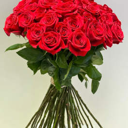 Large bouquet of red roses with long stems