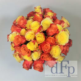 2 or 4 dozen Orange and Yellow Roses