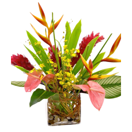 Tropical arrangement, Designer Choice