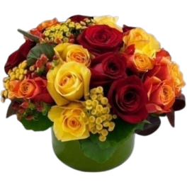2 dozen Fall Rose Bowl