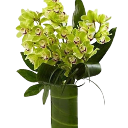 Cymbidium Orchid arrangement , 2 days notice please . Long lasting